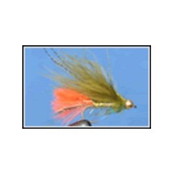 Olive With Hot Orange Tail Dawsons