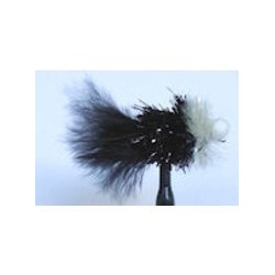 Booby Black and White