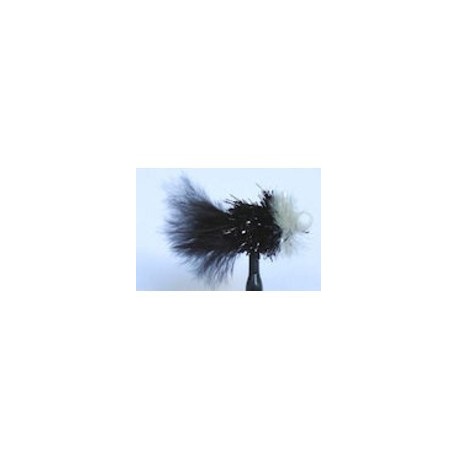 Booby Black and White