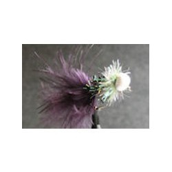 Booby Black Fritz White