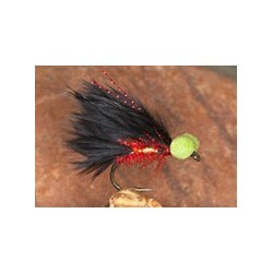 Pseudo Cat Booby Black Red