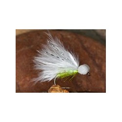 Pseudo Cat Booby White Chart