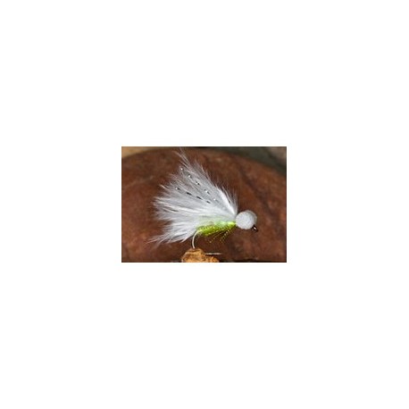 Pseudo Cat Booby White Chart