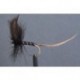 Black Drake Mayfly