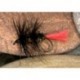 Black Worm Fly