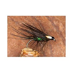 Black&peacockdabbler