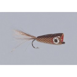 Cb Bronze Gold Bubble Head