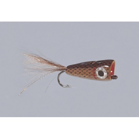 Cb Bronze Gold Bubble Head