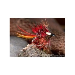 Clan Chief Cock Eyed Katie