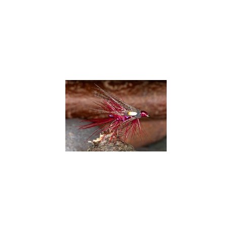 Claretstraggledabbler