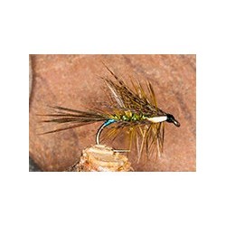 Dabbler Olive & Blue