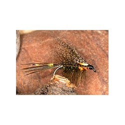 Dabbler Olive & Orange