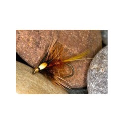 Fiery Brown Cock Eyed Katie