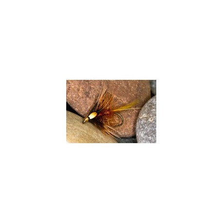 Fiery Brown Cock Eyed Katie