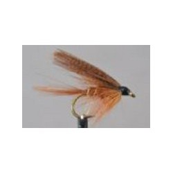 Fiery Brown Dabbler
