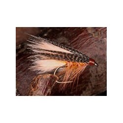 Ginger Peachy Dabbler