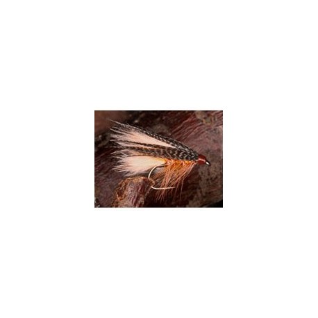 Ginger Peachy Dabbler