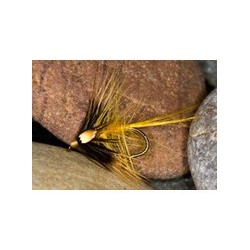 Golden Olive Cock Eyed Katie