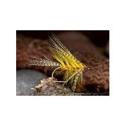 Golden Picric Dabbler