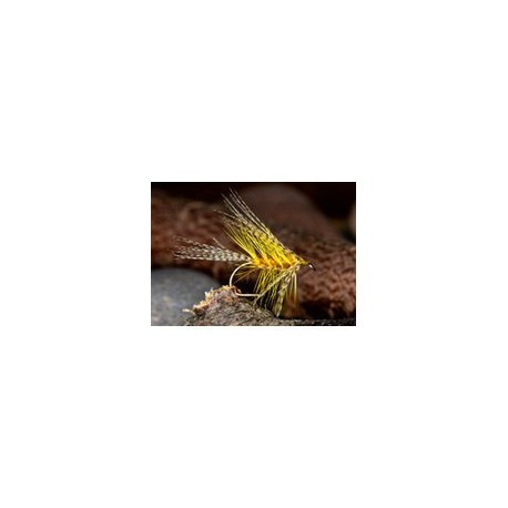 Golden Picric Dabbler