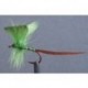 Green Mayfly
