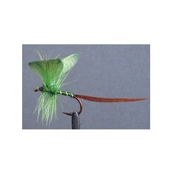 Green Mayfly