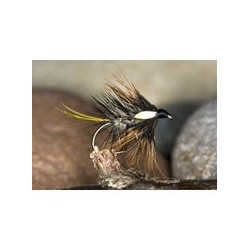 Hares Ear Cock Eyed Katie