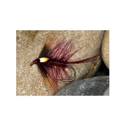 Hot Claret Cock Eyed Katie