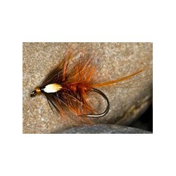 Hot Orange Cock Eyed Katie