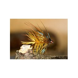 Leggy Golden Olive Bumble