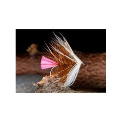 Pink Tail Loch Ordie