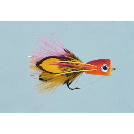 Cb Hot Orange Bass Pop