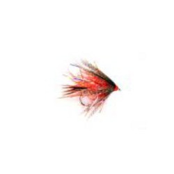 Stragggler Orange Uv
