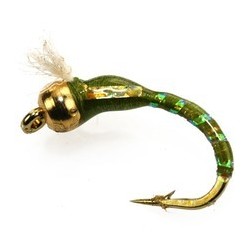 D Glass Epoxy Bead Head Nymph Olive