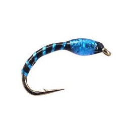 Blue Devil Holo Buzzer