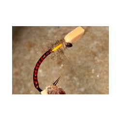 Buzzersugarcubeorange