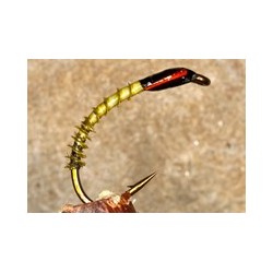 Buzzerturkeybiotolive