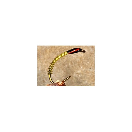 Buzzerturkeybiotolive