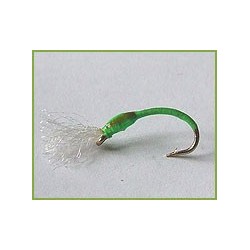 Epoxy Buzzer Green Josphat