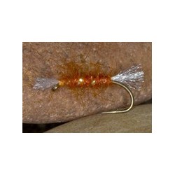 Ginger Shipmans Buzzer