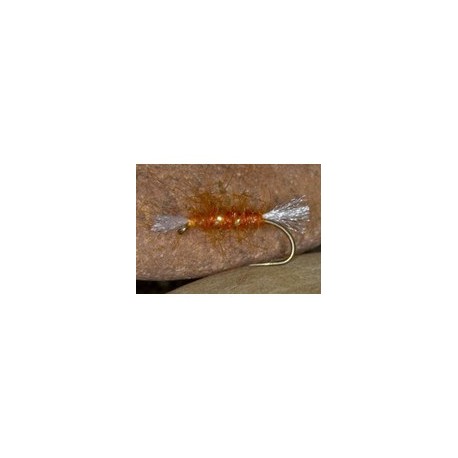 Ginger Shipmans Buzzer