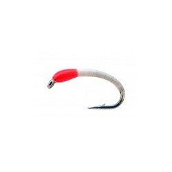 Globrite Orange Okey Dokey