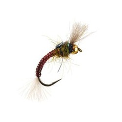 Hatching Buzzer Brown