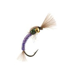 Hatching Buzzer Purple