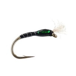 Highlander Buzzer Black Green
