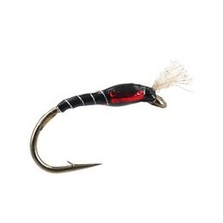 Highlander Buzzer Black Red