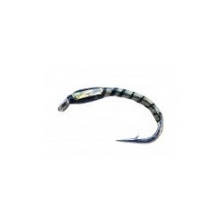 Holo Gold Annies Buzzer