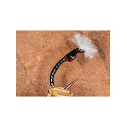 Mirror Image Grey Boy Buzzer