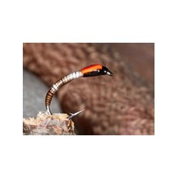 Peccary Bristle Buzzer