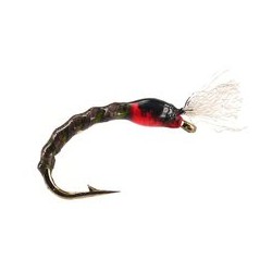 Pedros Dark Olive Buzzer